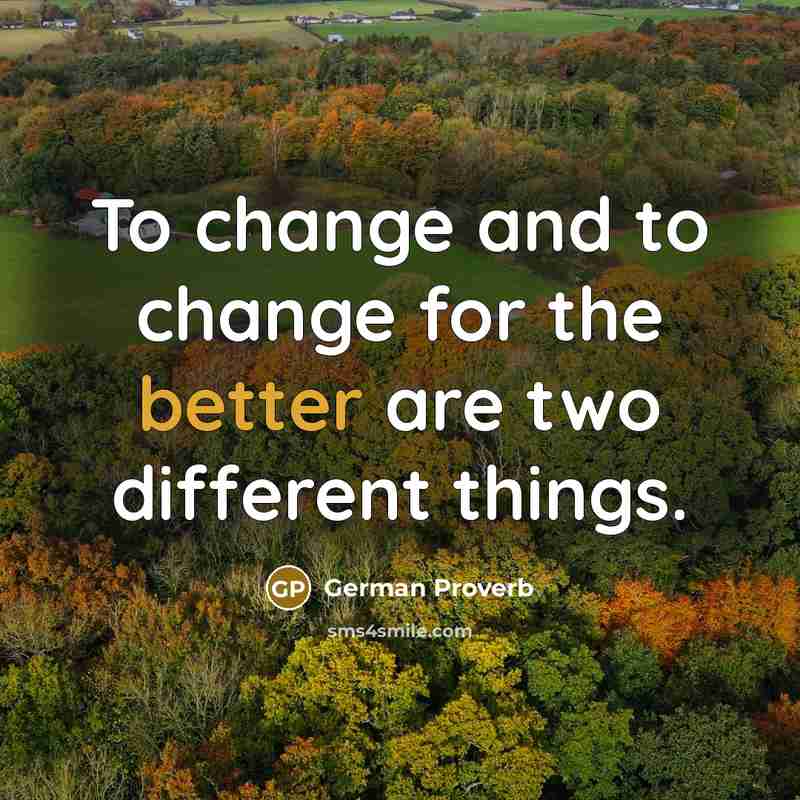 “To change and to change for the better are two different things.” quote by German Proverb