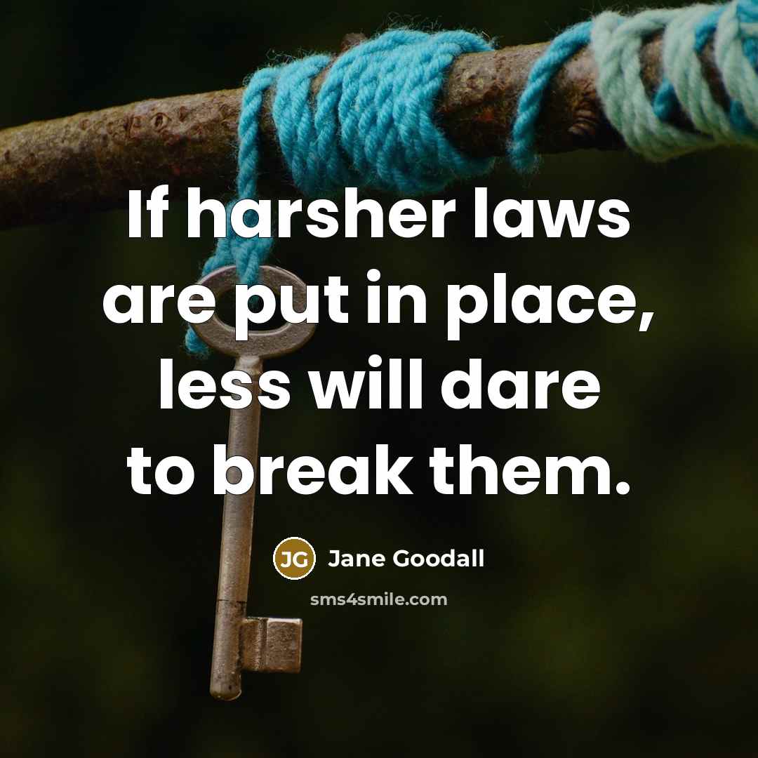 “If harsher laws are put in place, less will dare…” quote by Jane Goodall