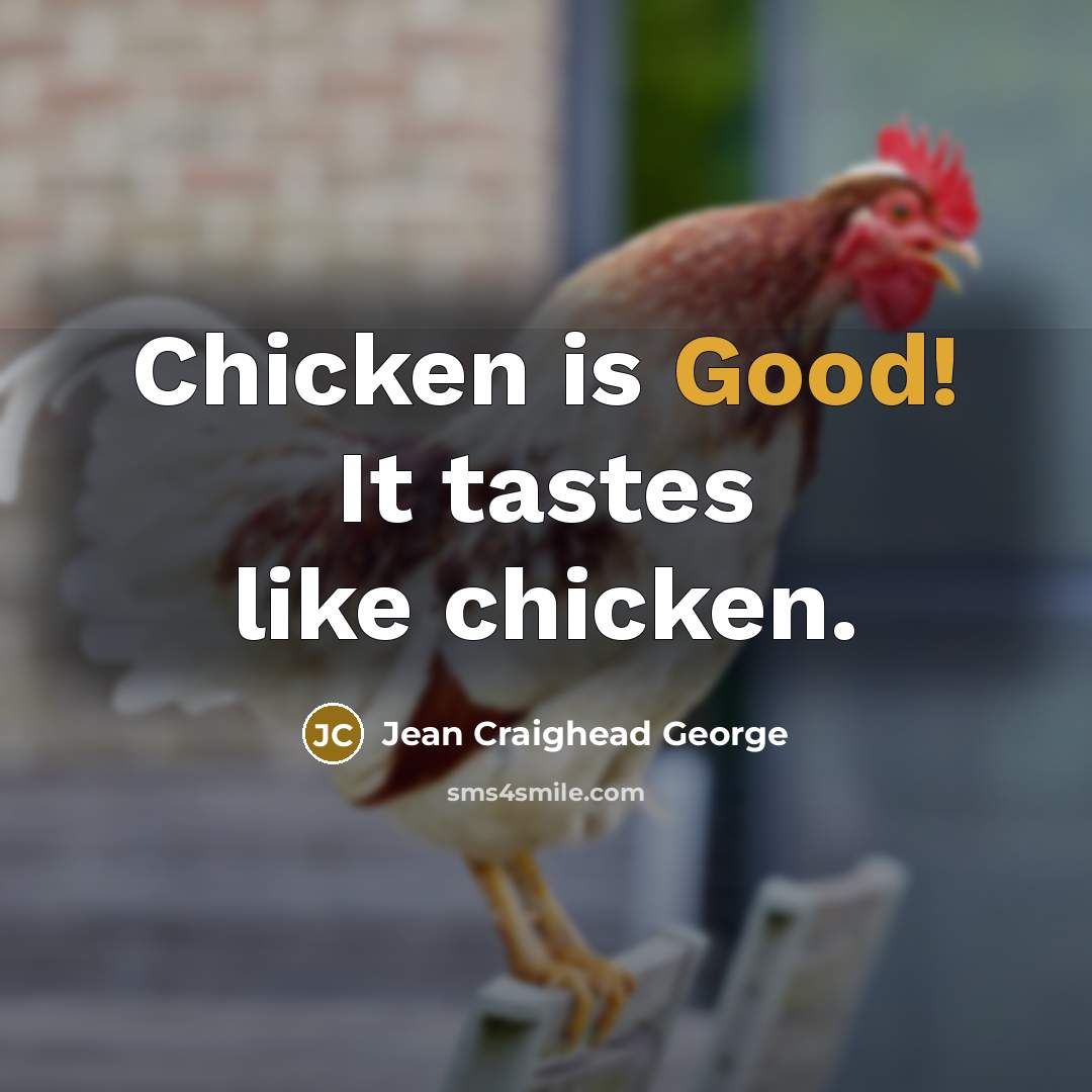 “Chicken is Good! It tastes like chicken.” quote by Jean Craighead George