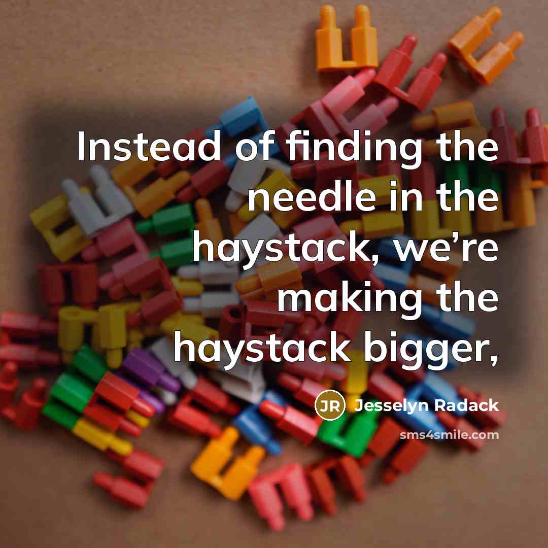 “Instead of finding the needle in the haystack, we’re making…” quote by Jesselyn Radack