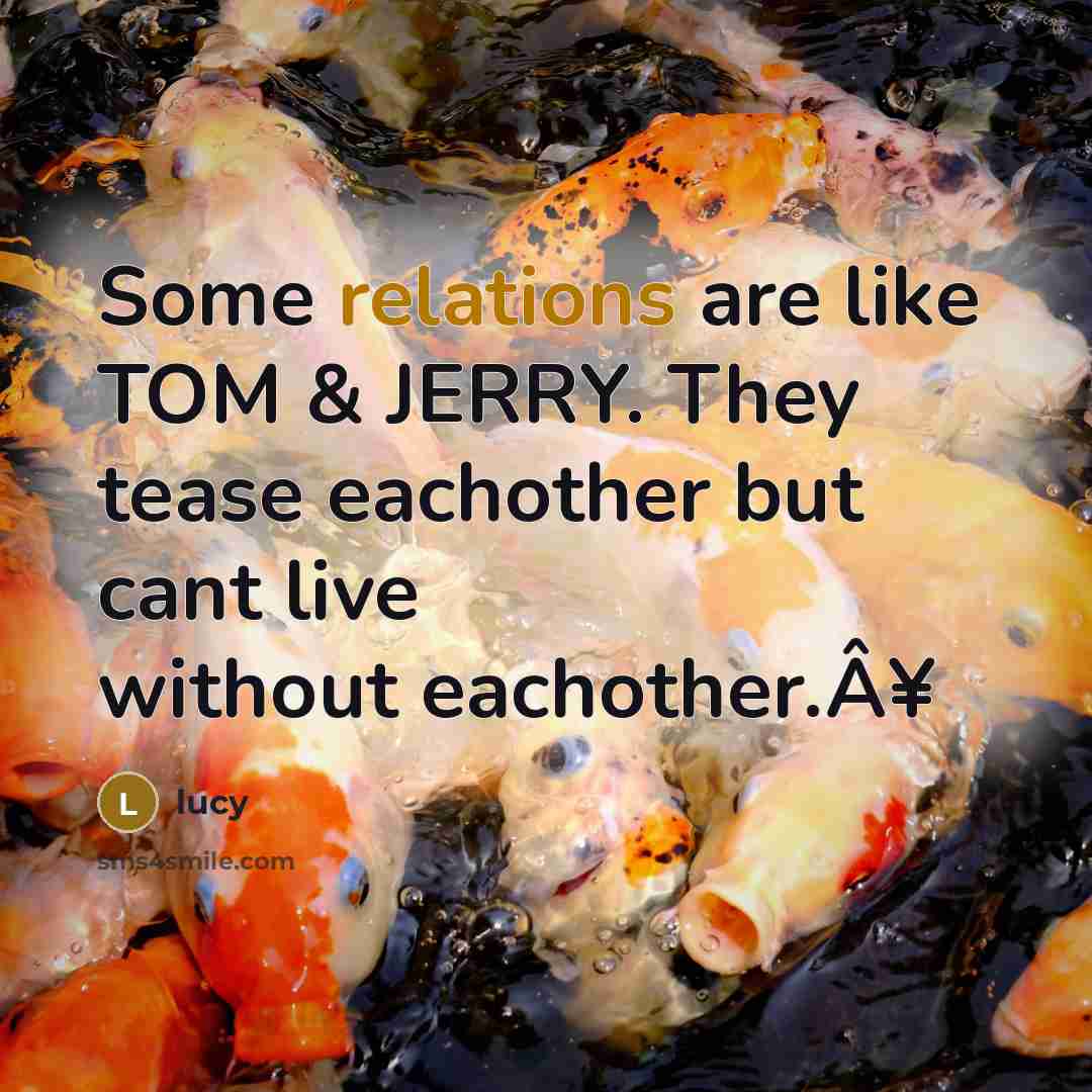 “Some relations are like TOM & JERRY. They tease eachother but cant live without eachother.Â¥” quote by Lucy