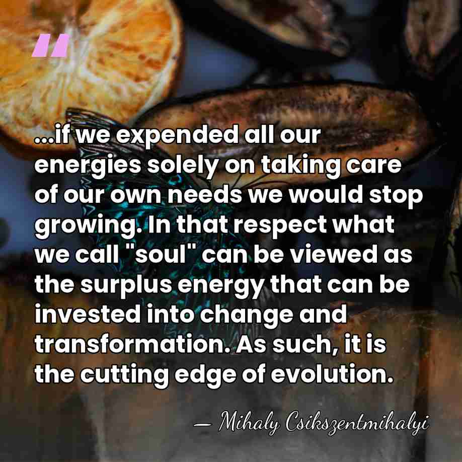 ...if we expended all our energies solely on taking care of our&hellip; - Mihaly Csikszentmihalyi