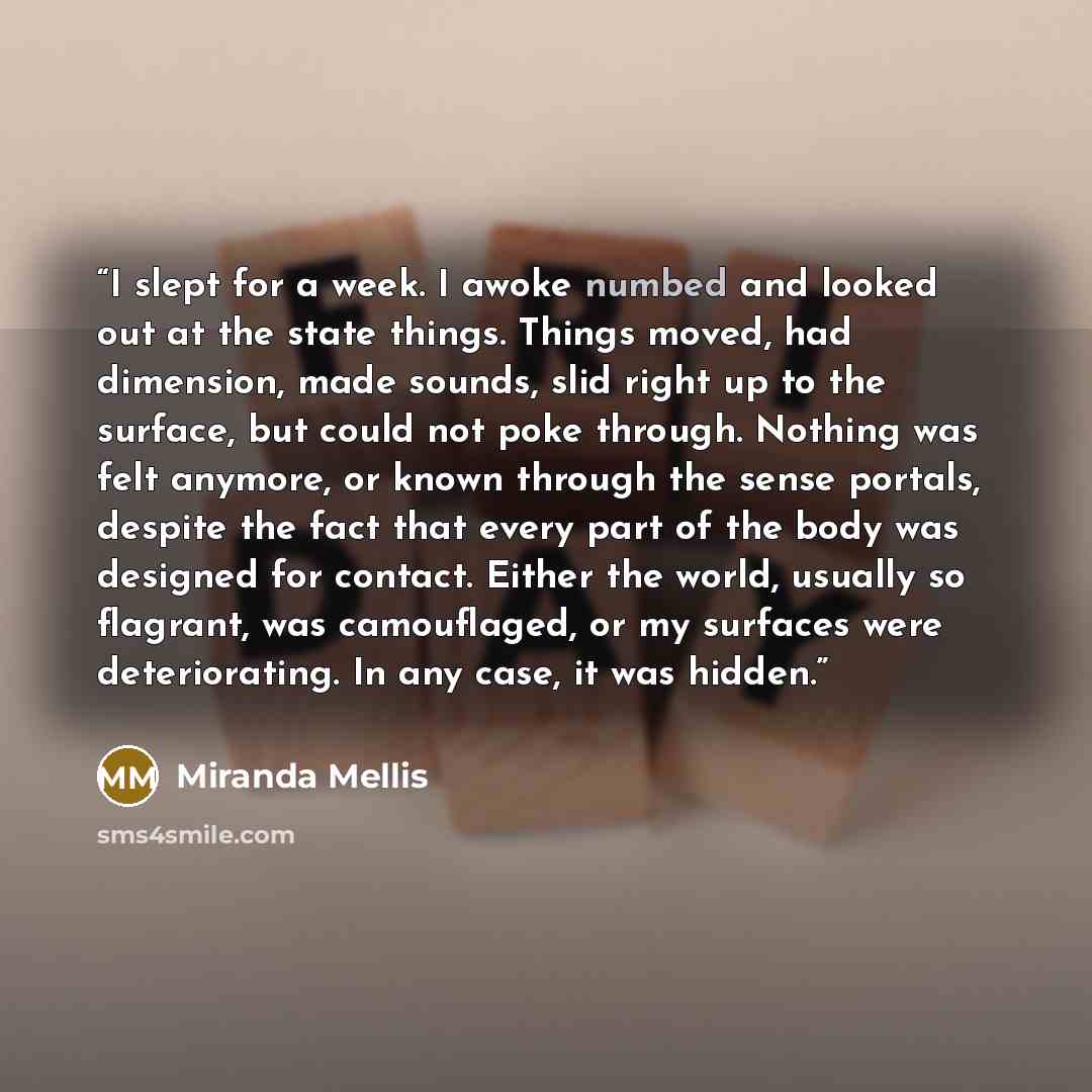 “I slept for a week. I awoke numbed and looked out at the state things. Things moved, had dimension, made sounds, slid right up to the surface, but could not poke through. Nothing was felt anymore, or known through the sense portals, despite the fact that every part of the body was designed for…” quote by Miranda Mellis