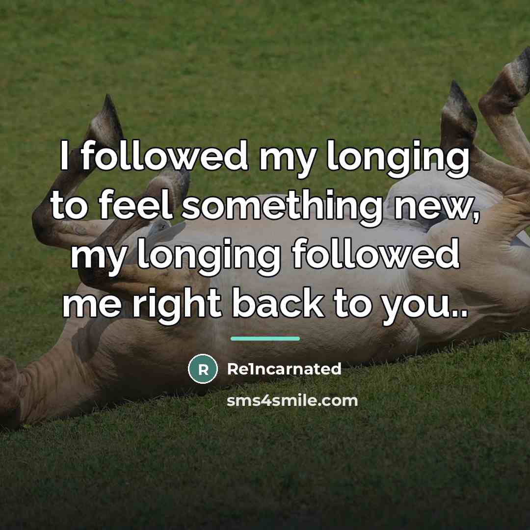 “I followed my longing to feel something new, my longing…” quote by Re1ncarnated