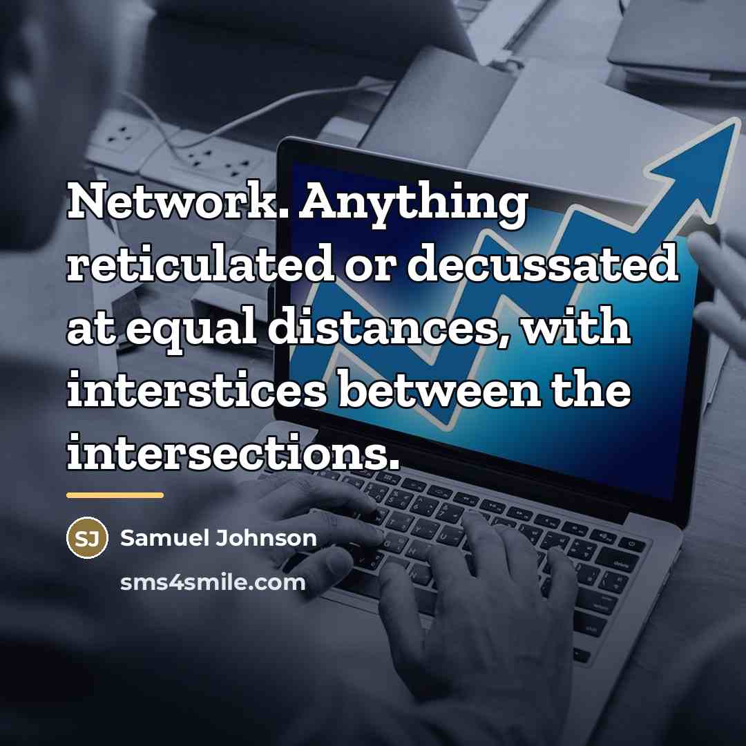 “Network. Anything reticulated or decussated at equal distances, with interstices…” quote by Samuel Johnson