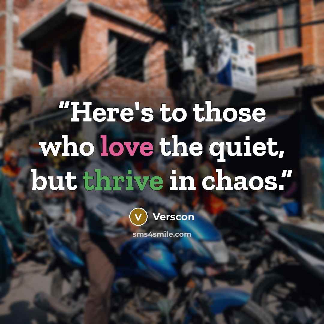 “Here's to those who love the quiet, but thrive in chaos.” quote by Verscon