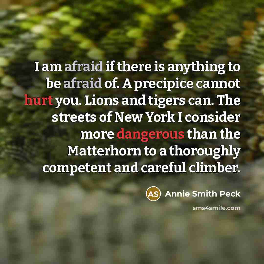 “I am afraid if there is anything to be afraid of. A precipice cannot hurt you. Lions and tigers can. The streets of New York I consider more dangerous than the Matterhorn to a thoroughly competent and careful climber.” quote by Annie Smith Peck