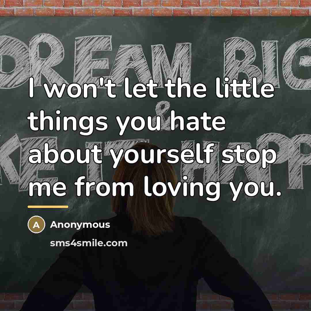 “I won't let the little things you hate about yourself…” quote by Anonymous