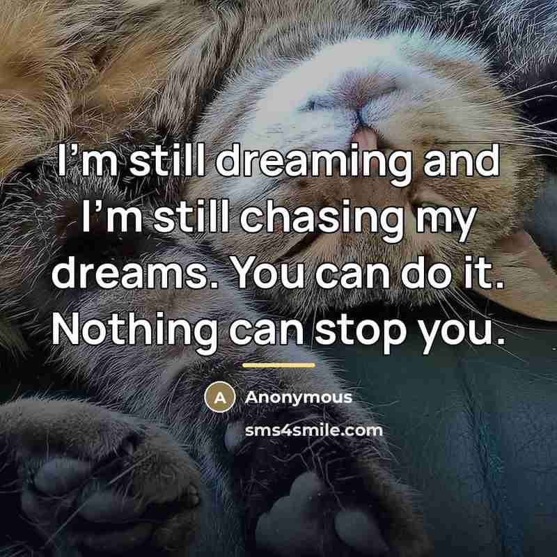 “I'm still dreaming and I'm still chasing my dreams. You…” quote by Anonymous