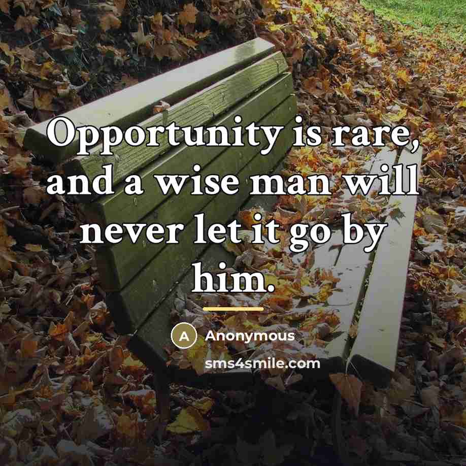 “Opportunity is rare, and a wise man will never let…” quote by Anonymous