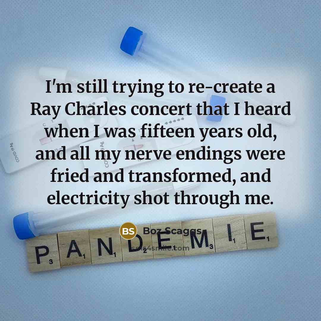 “I'm still trying to re-create a Ray Charles concert that…” quote by Boz Scaggs