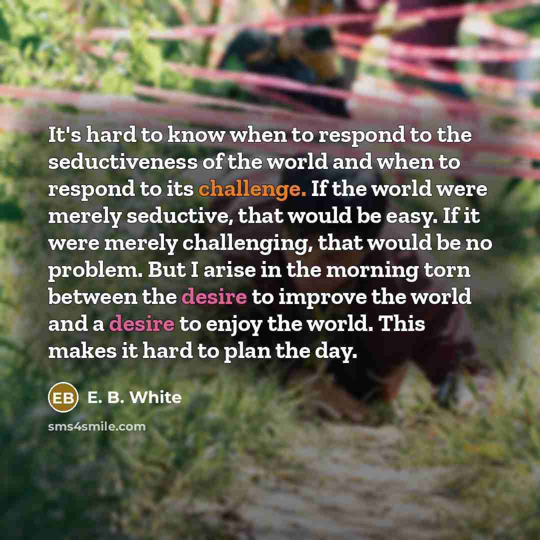 “It's hard to know when to respond to the seductiveness…” quote by E. B. White