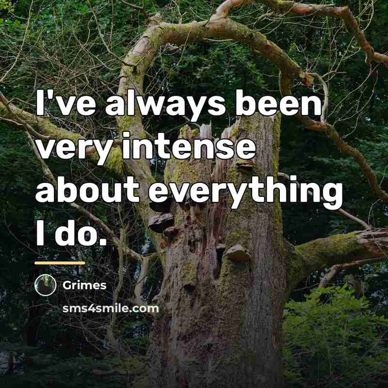 “I've always been very intense about everything I do.…” quote by Grimes