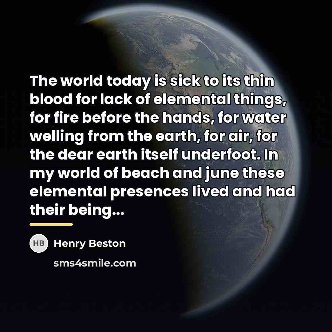 “The world today is sick to its thin blood for…” quote by Henry Beston