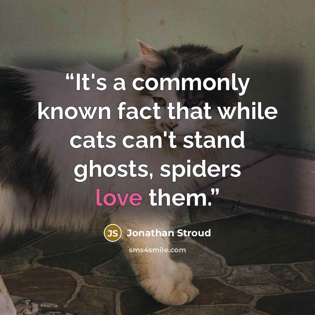 “It's a commonly known fact that while cats can't stand ghosts, spiders love them.” quote by Jonathan Stroud