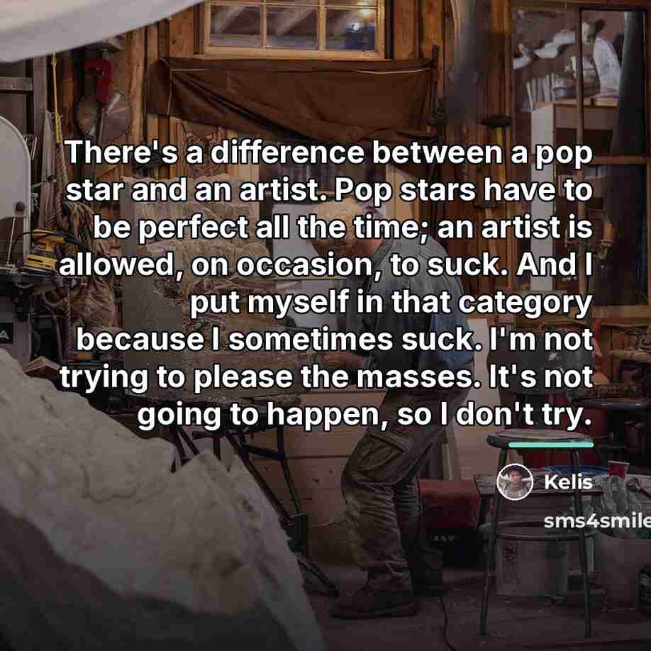 “There's a difference between a pop star and an artist.…” quote by Kelis