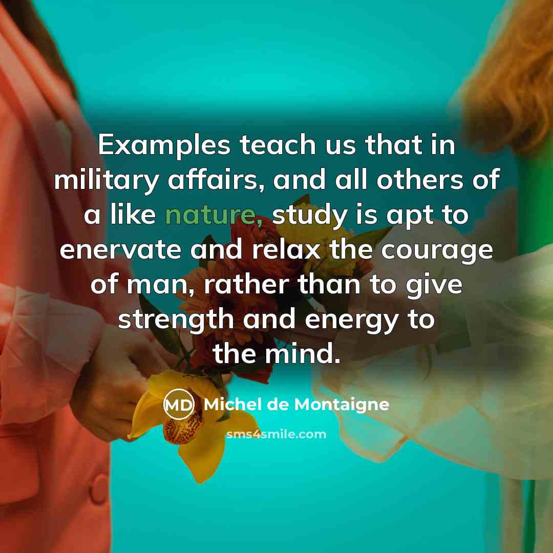 “Examples teach us that in military affairs, and all others…” quote by Michel de Montaigne