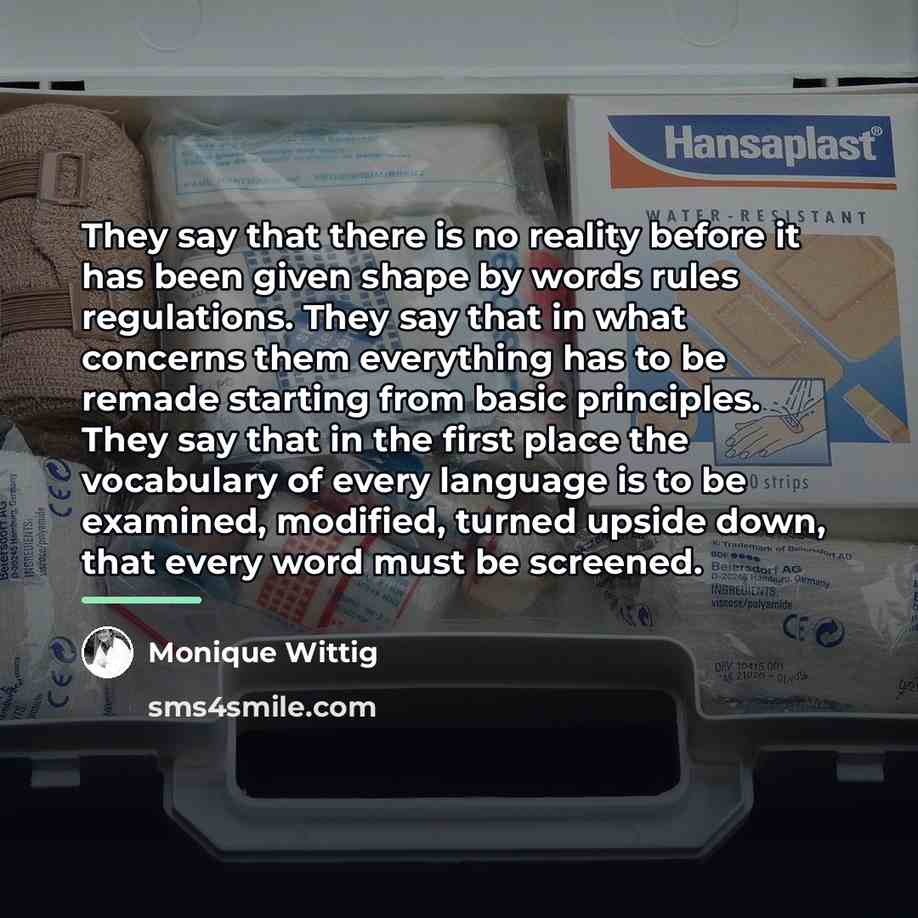 “They say that there is no reality before it has…” quote by Monique Wittig