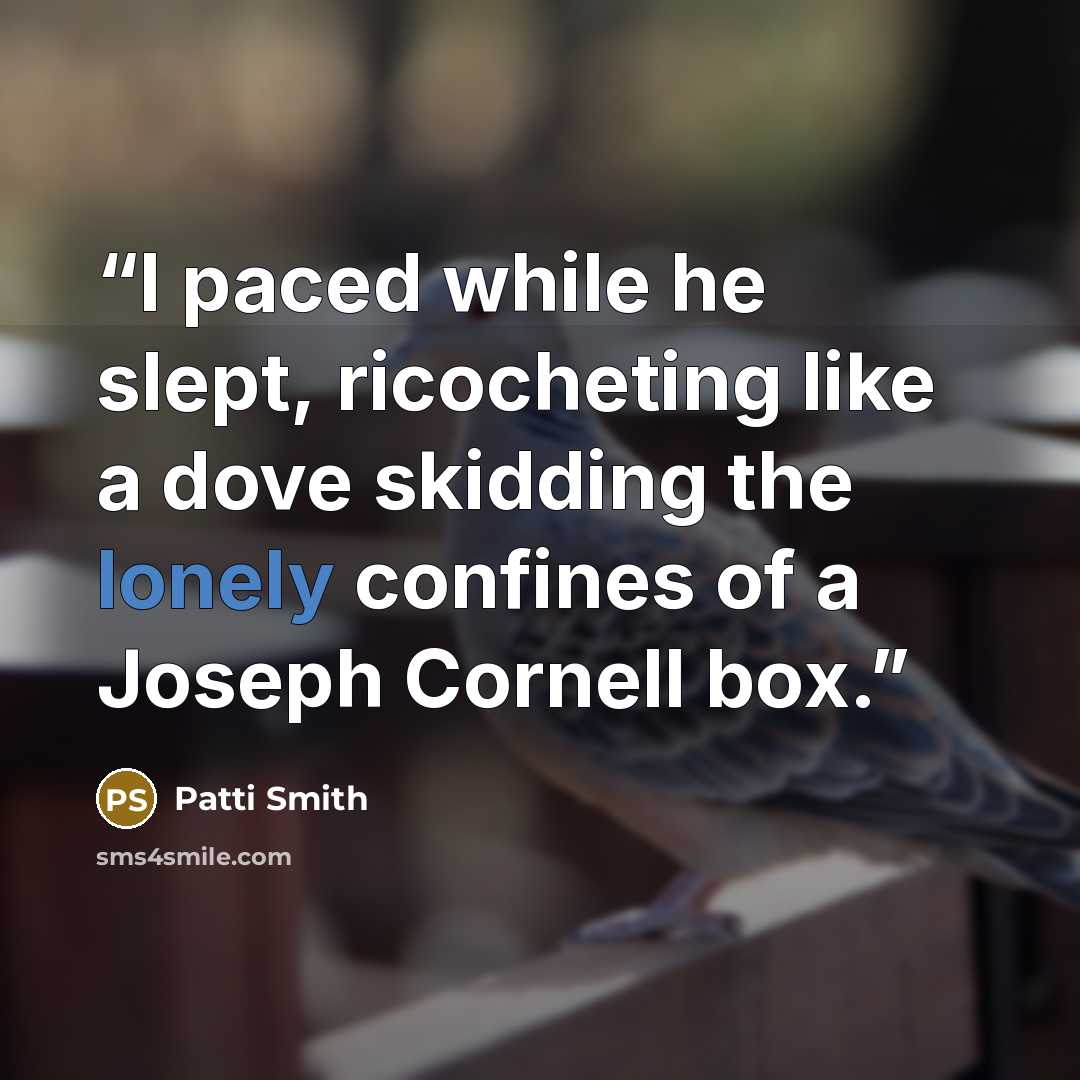“I paced while he slept, ricocheting like a dove skidding the lonely confines of a Joseph Cornell box.” quote by Patti Smith