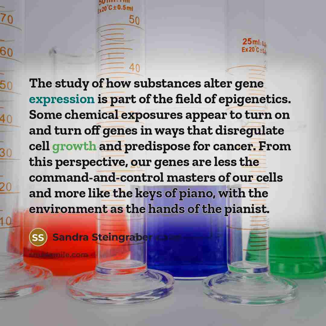 “The study of how substances alter gene expression is part…” quote by Sandra Steingraber