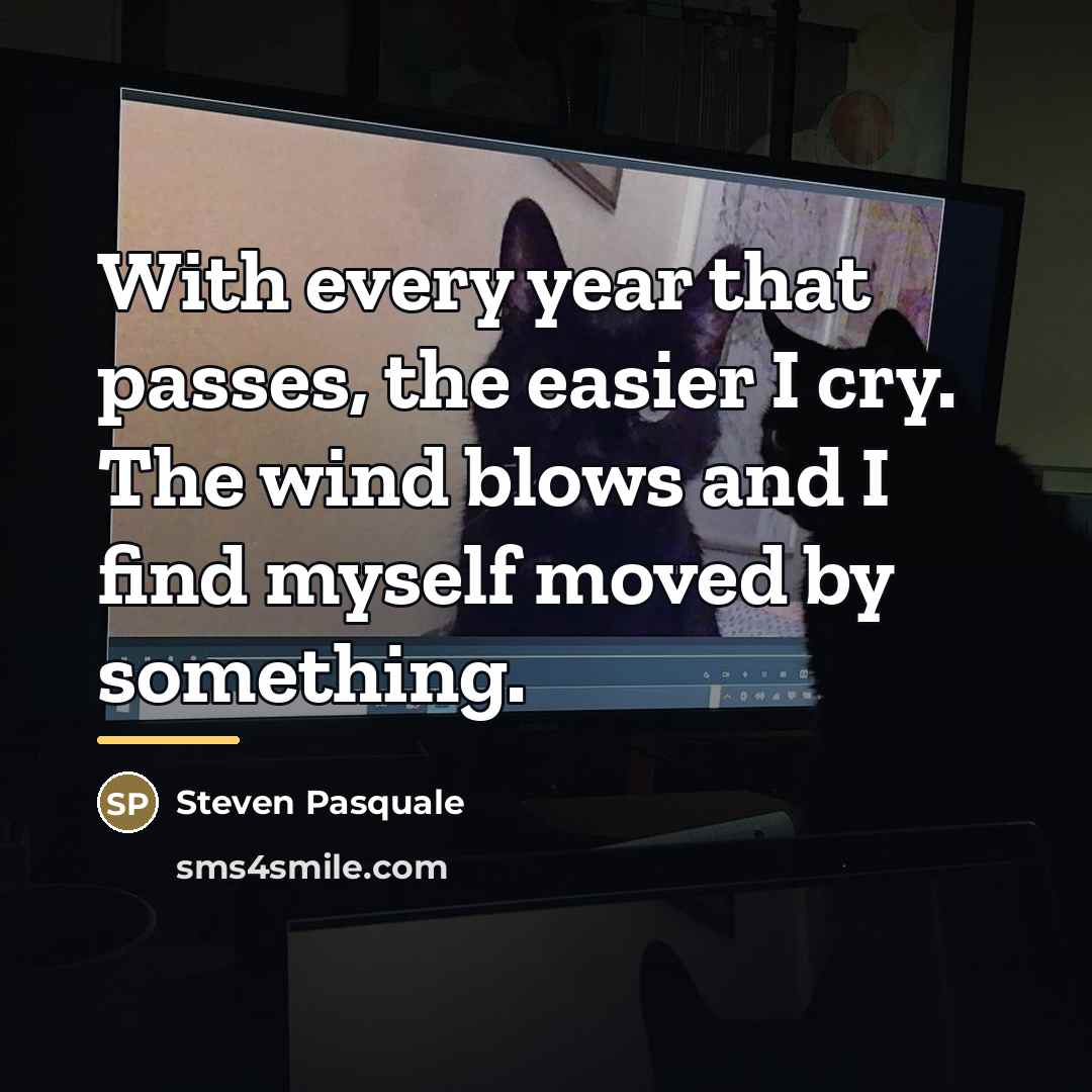“With every year that passes, the easier I cry. The…” quote by Steven Pasquale