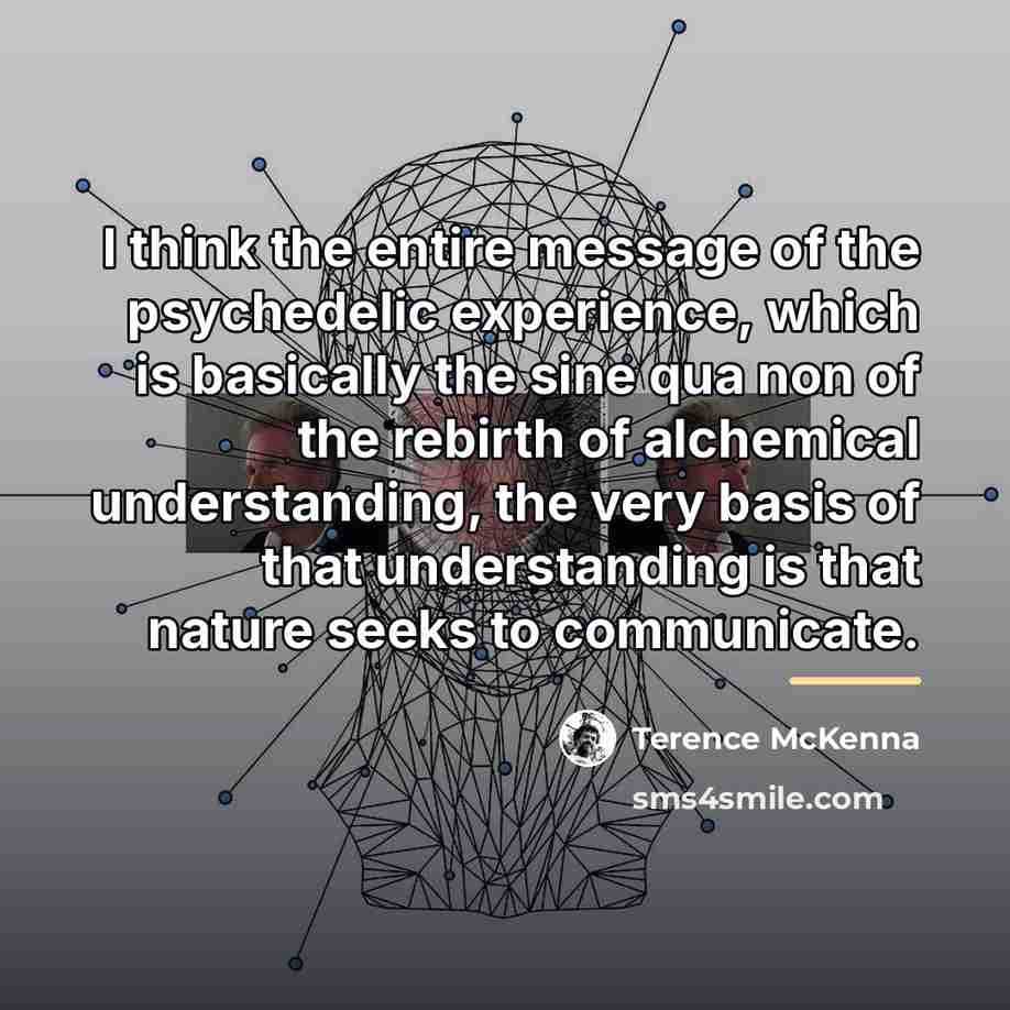“I think the entire message of the psychedelic experience, which…” quote by Terence McKenna