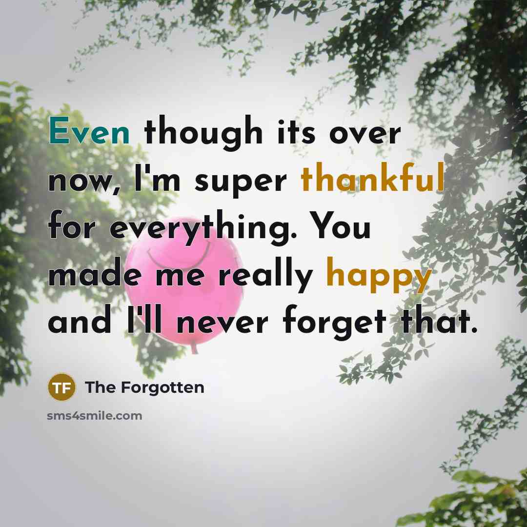 “Even though its over now, I'm super thankful for everything. You made me really happy and I'll never forget that.” quote by The Forgotten