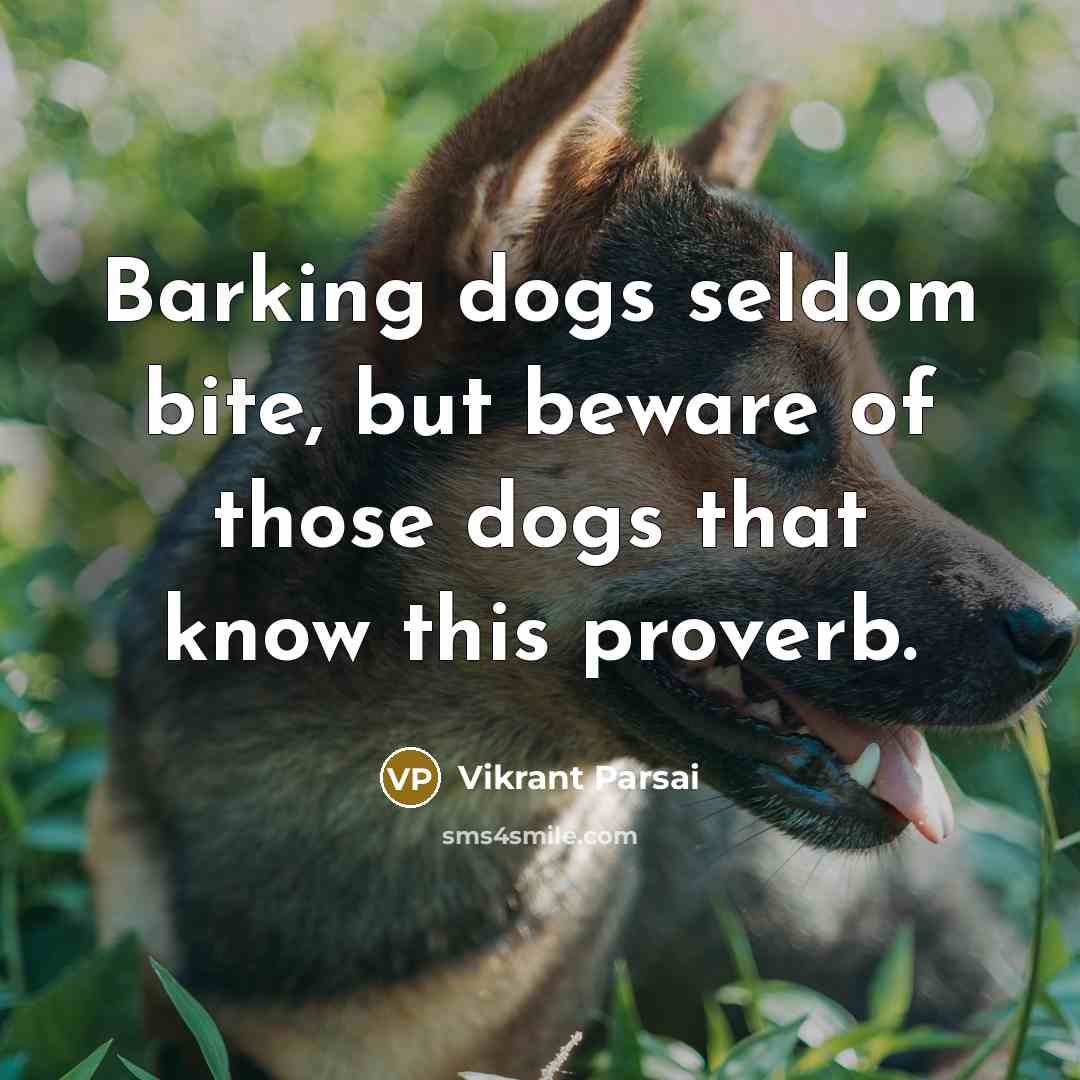 “Barking dogs seldom bite, but beware of those dogs that…” quote by Vikrant Parsai