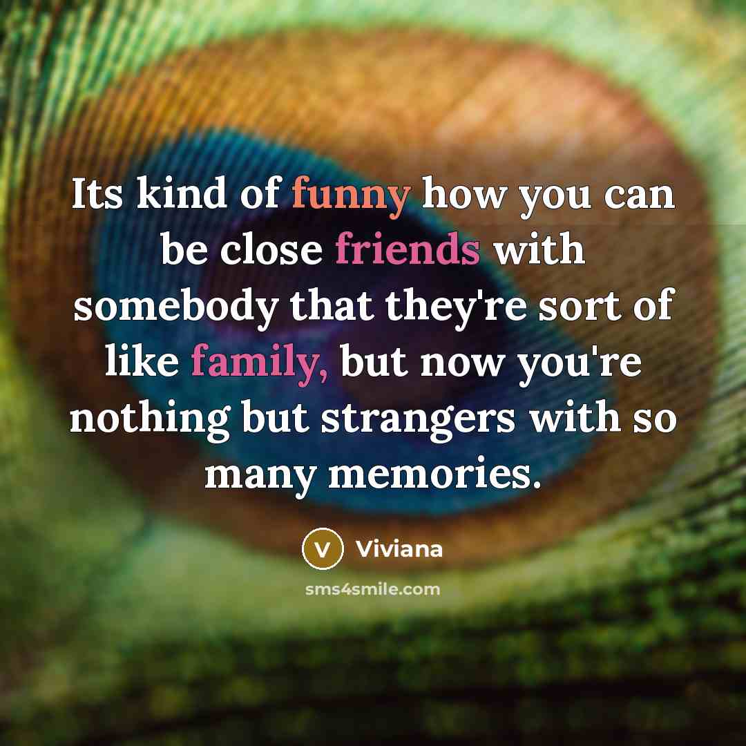“Its kind of funny how you can be close friends…” quote by Viviana