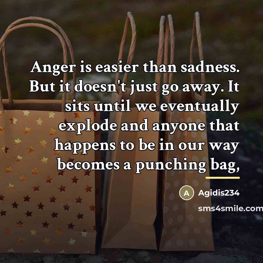 “Anger is easier than sadness. But it doesn't just go…” quote by Agidis234