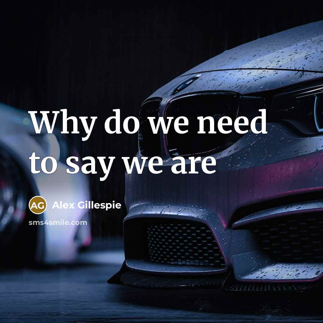 “Why do we need to say we are” quote by Alex Gillespie