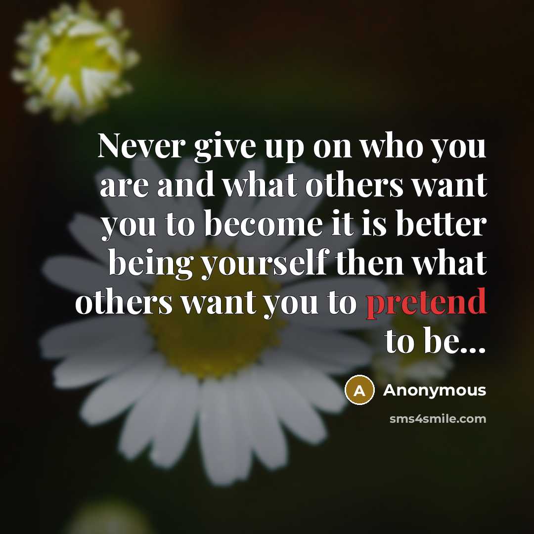 “Never give up on who you are and what others…” quote by Anonymous