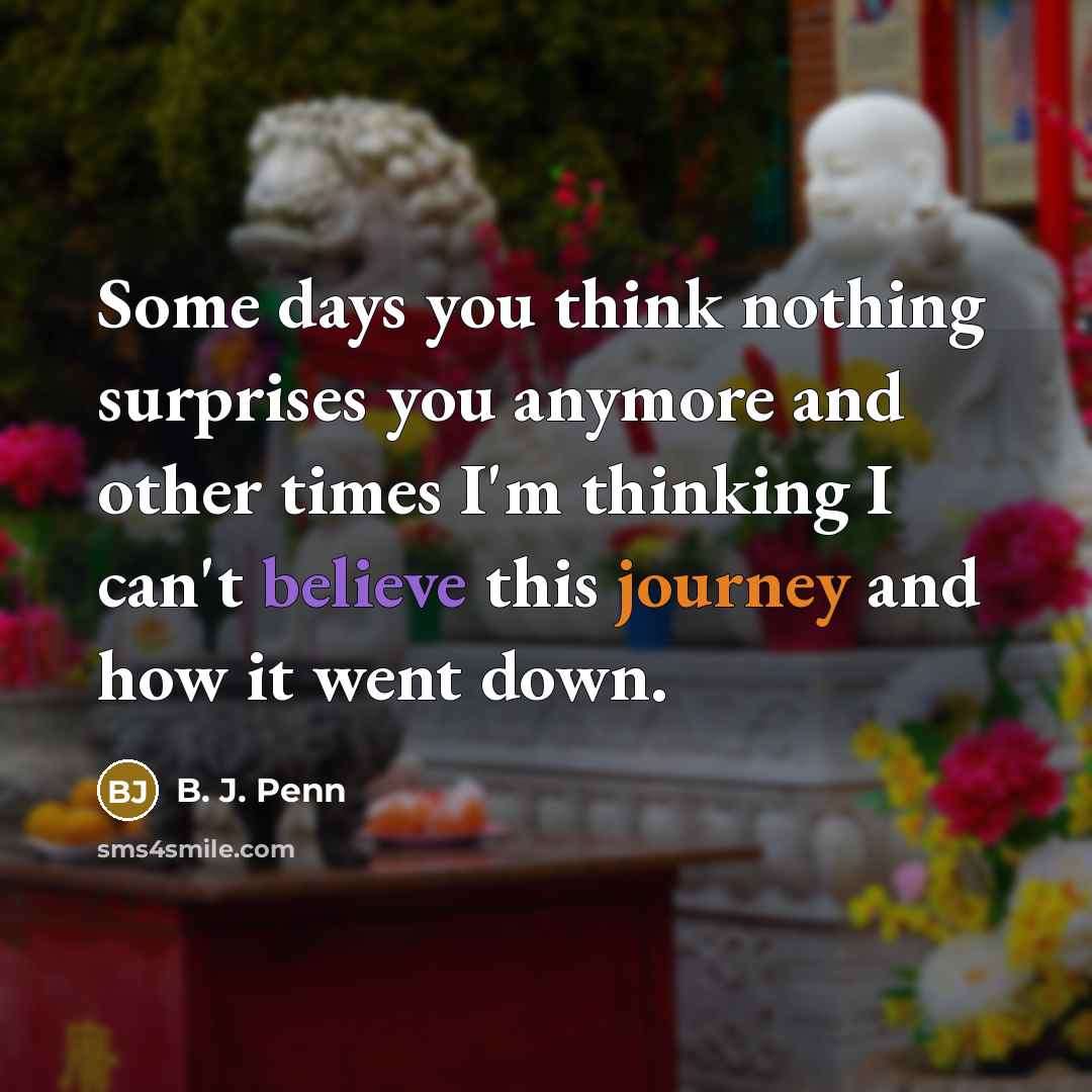 “Some days you think nothing surprises you anymore and other…” quote by B. J. Penn