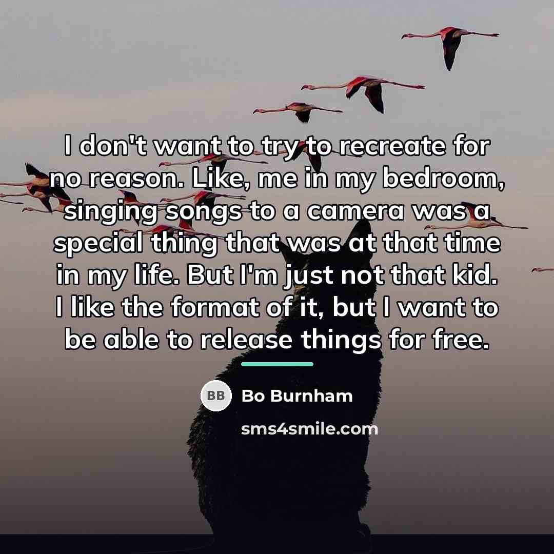 “I don't want to try to recreate for no reason.…” quote by Bo Burnham