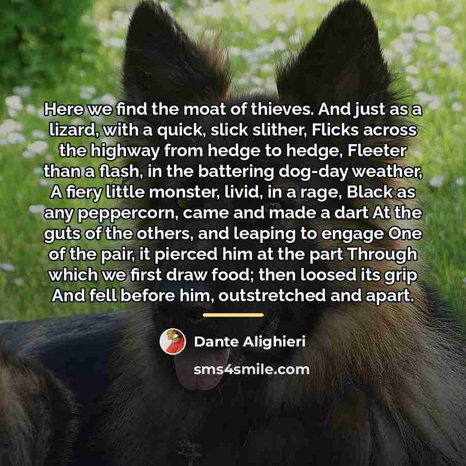 “Here we find the moat of thieves. And just as…” quote by Dante Alighieri