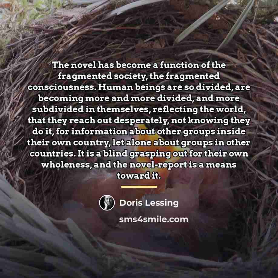 “The novel has become a function of the fragmented society,…” quote by Doris Lessing