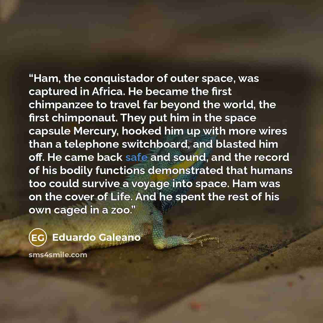 “Ham, the conquistador of outer space, was captured in Africa. He became the first chimpanzee to travel far beyond the world, the first chimponaut. They put him in the space capsule Mercury, hooked him up with more wires than a telephone switchboard, and blasted him off. He came back safe and…” quote by Eduardo Galeano