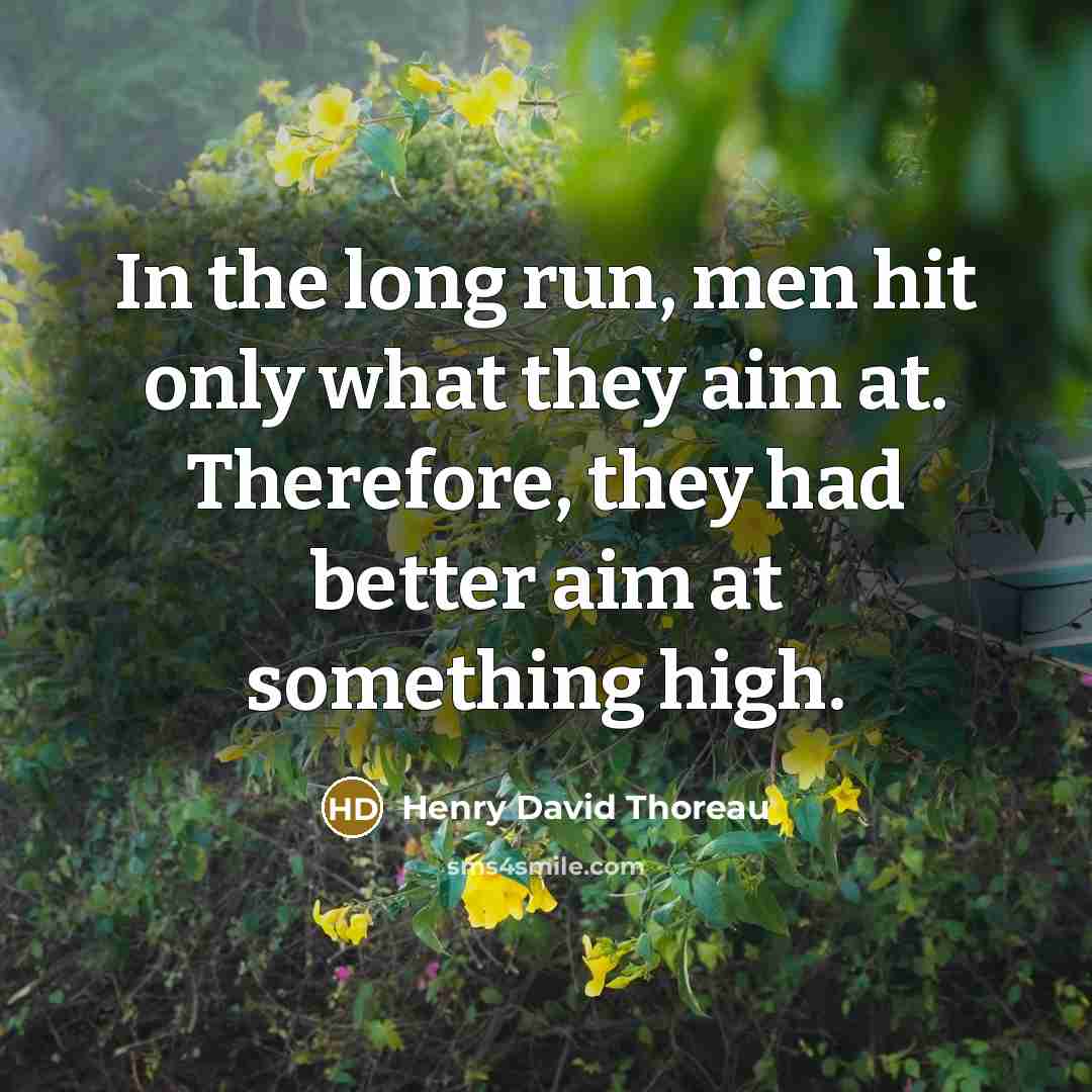 “In the long run, men hit only what they aim…” quote by Henry David Thoreau