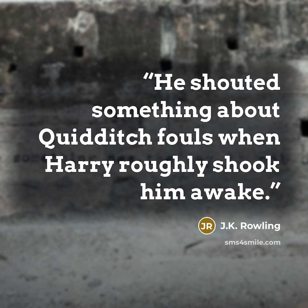 “He shouted something about Quidditch fouls when Harry roughly shook him awake.” quote by J.K. Rowling