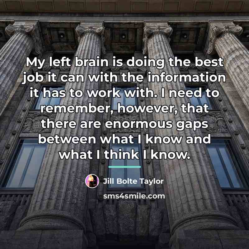 “My left brain is doing the best job it can…” quote by Jill Bolte Taylor