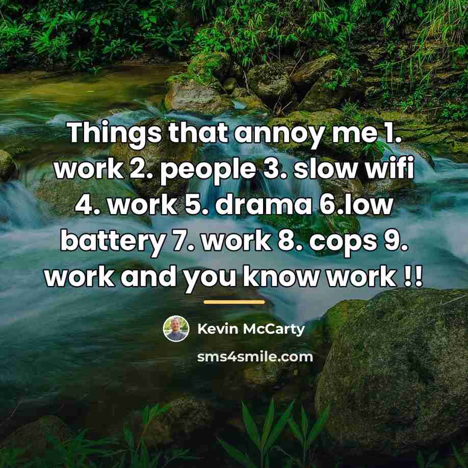“Things that annoy me 1. work 2. people 3. slow…” quote by Kevin McCarty