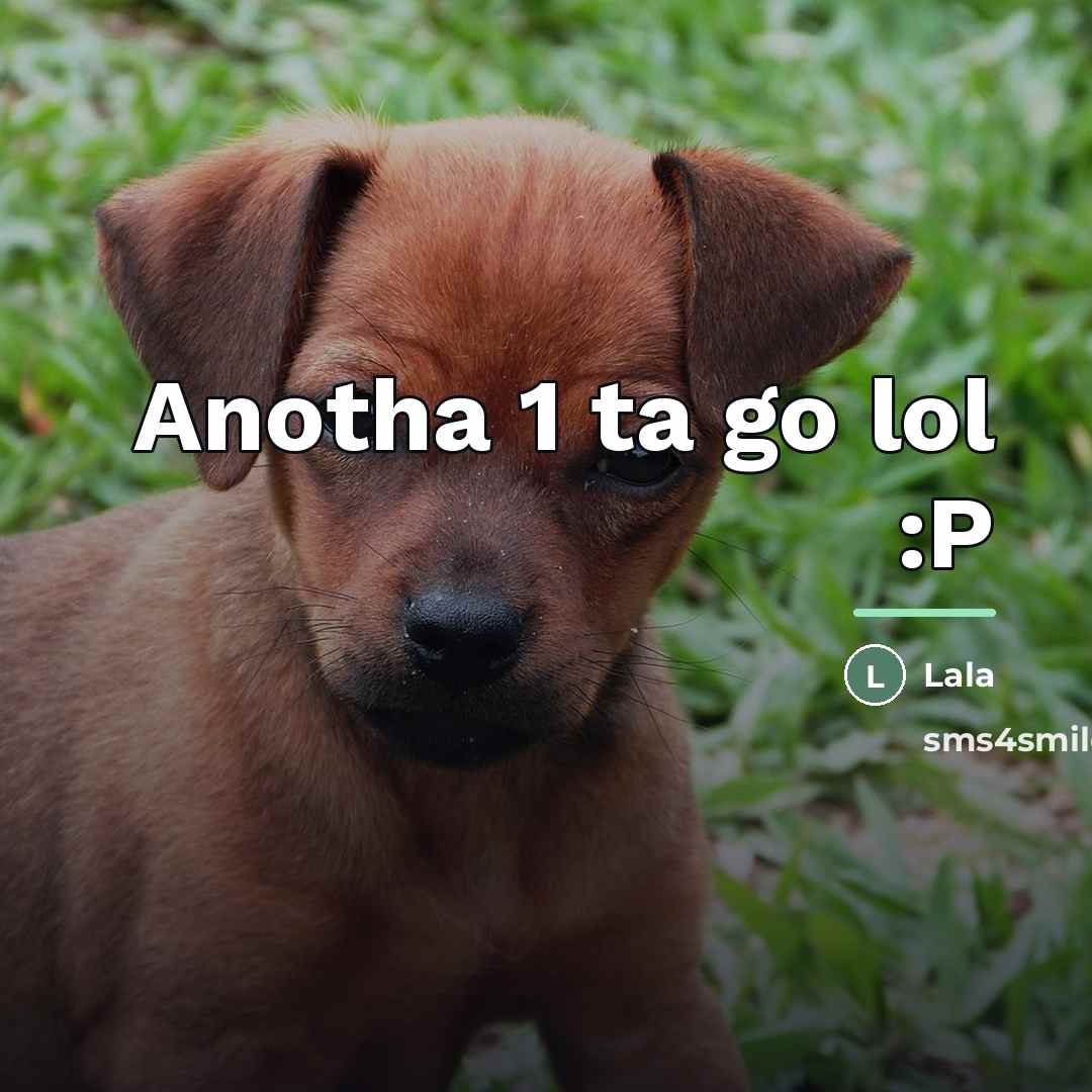 “Anotha 1 ta go lol :P…” quote by LALA