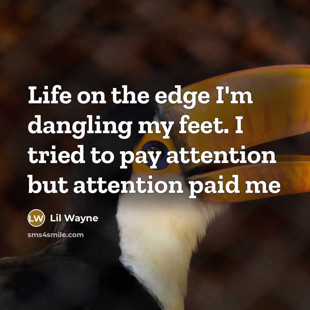 “Life on the edge I'm dangling my feet. I tried to pay attention but attention paid me” quote by Lil Wayne