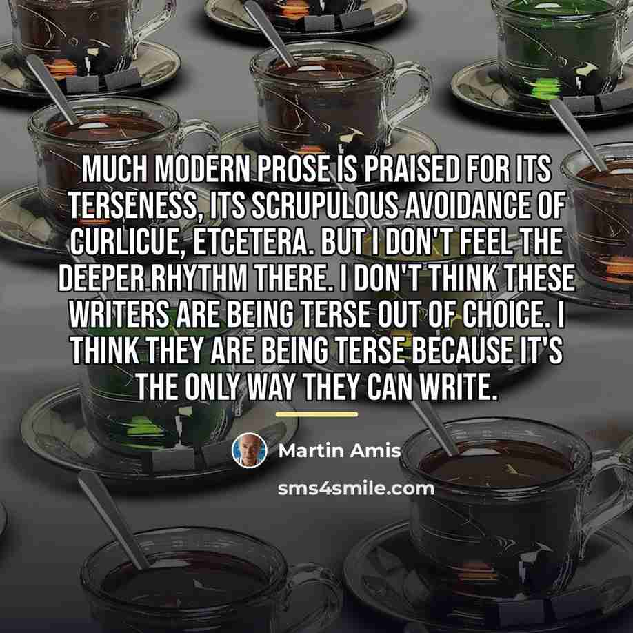 “Much modern prose is praised for its terseness, its scrupulous…” quote by Martin Amis