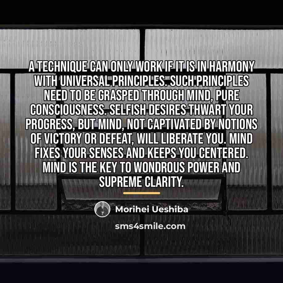 “A technique can only work if it is in harmony…” quote by Morihei Ueshiba