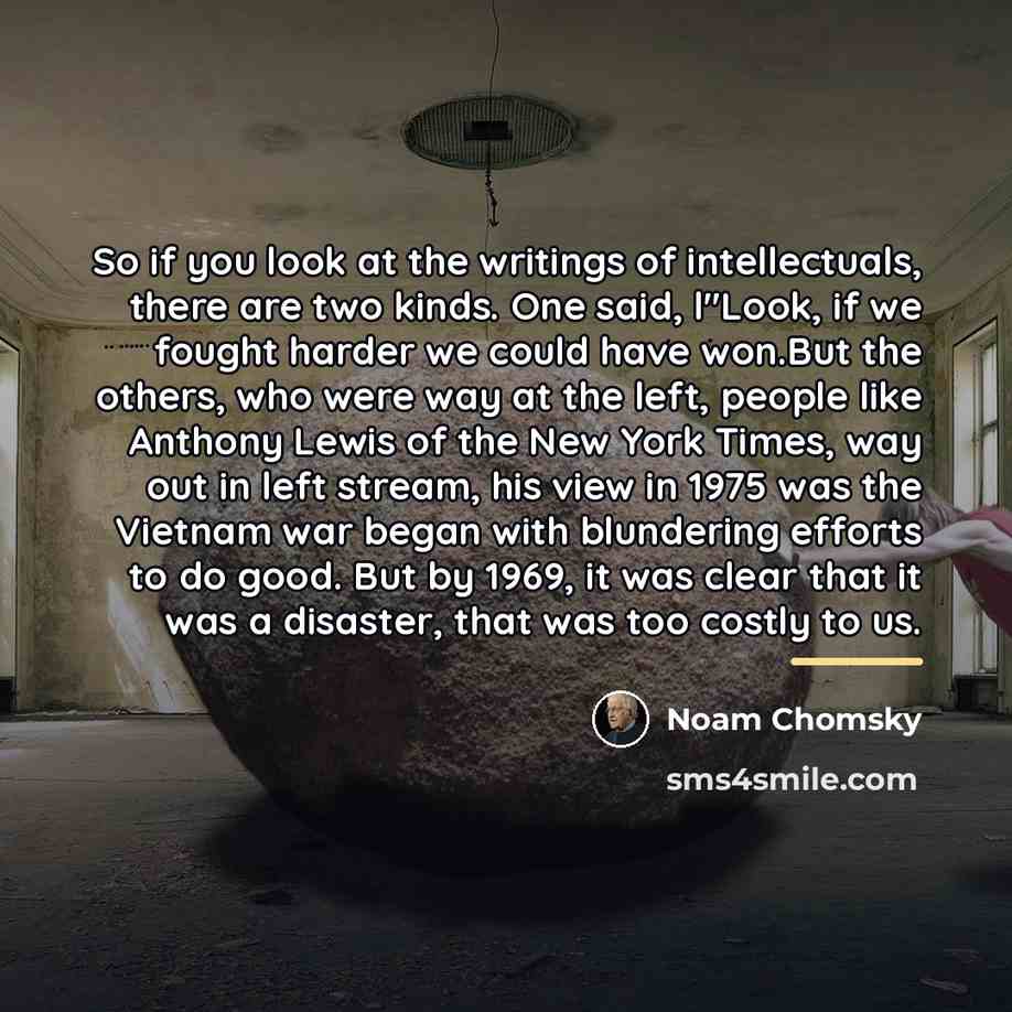 “So if you look at the writings of intellectuals, there…” quote by Noam Chomsky