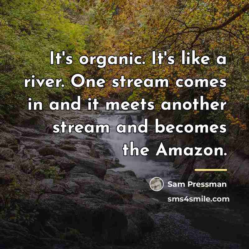 “It's organic. It's like a river. One stream comes in…” quote by Sam Pressman