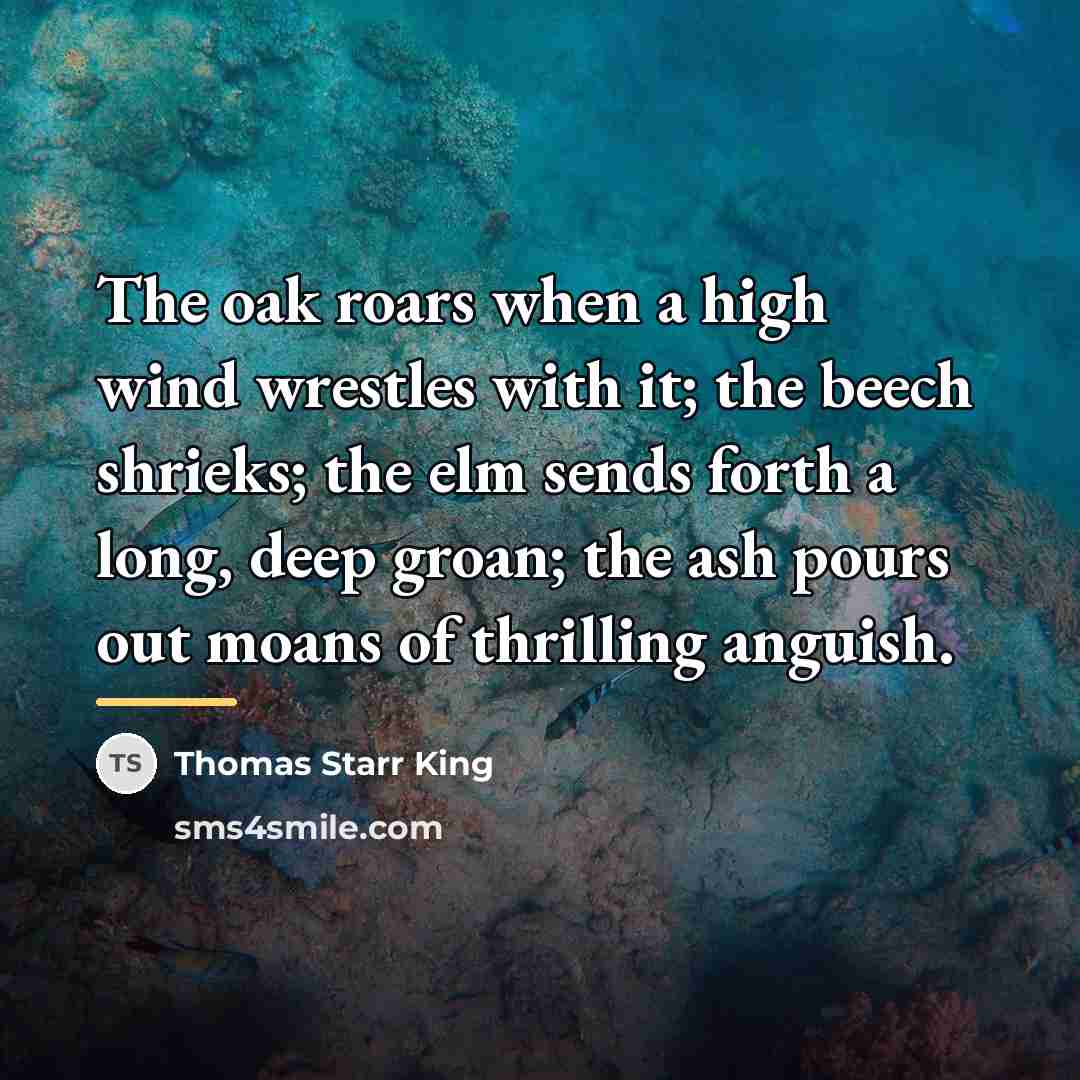 “The oak roars when a high wind wrestles with it;…” quote by Thomas Starr King