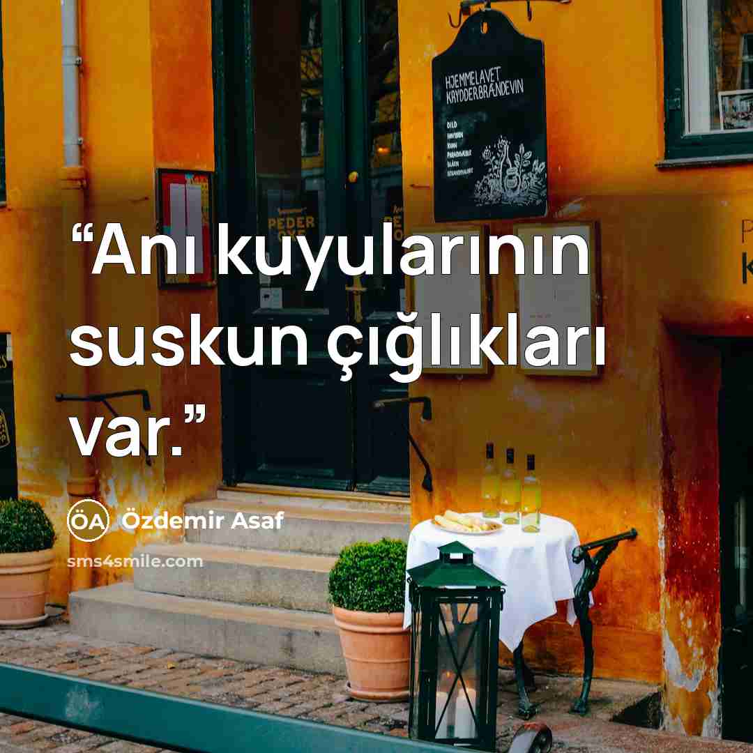 “Anı kuyularının suskun çığlıkları var.” quote by Özdemir Asaf