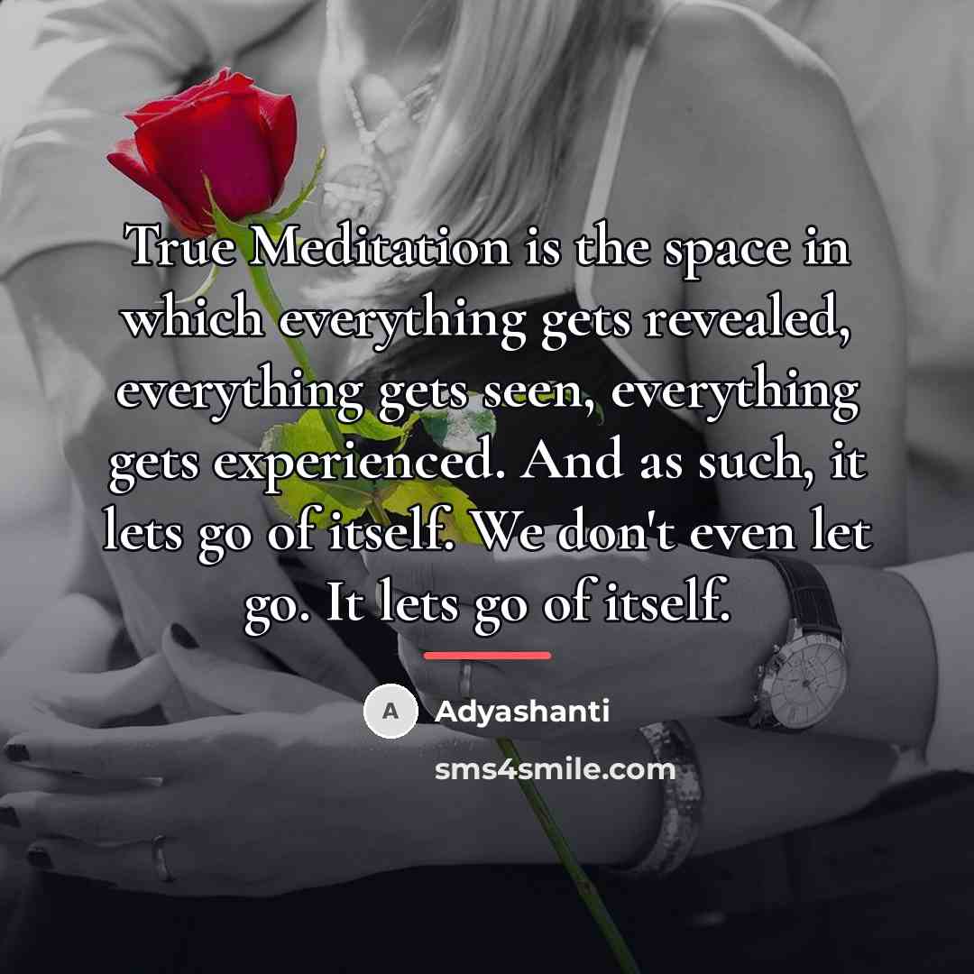 “True Meditation is the space in which everything gets revealed,…” quote by Adyashanti